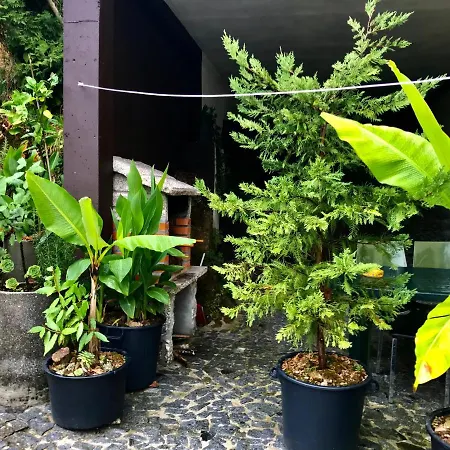 Casa De Casarelhos - Alojamentos - Geres Cova Buitenkant foto